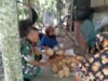 Babinsa Koramil 01/Sukajaya Laksanakan Komunikasi Sosial dengan Ibu-Ibu Petani Kelapa di Gampong Keuneukai