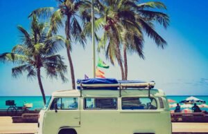 Morning Essentials Tips