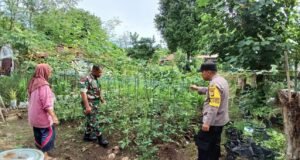 Babinsa Koramil 02/Sukakarya Bersama Babinkamtibmas Mendampingi Warga Binaan Kelompok Wanita Tani Dalam Penanaman Tanaman Pekarangan Bergizi