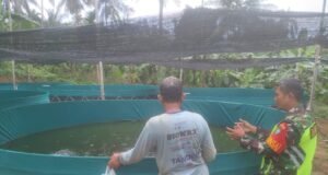 Babinsa Koramil 02/Sukakarya Dampingi Peternak Ikan Lele dalam Program Ketahanan Pangan Wilayah