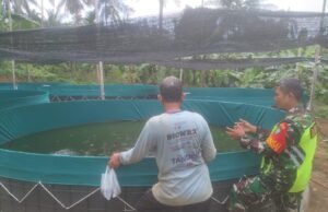 Babinsa Koramil 02/Sukakarya Dampingi Peternak Ikan Lele dalam Program Ketahanan Pangan Wilayah