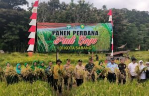 Sukseskan Ketahanan Pangan Wilayah, Kodim 0112/Sabang Bersama Forkopimda Kota Sabang Gelar Panen Perdana Padi Gogo