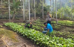 Babinsa Koramil 02/Sukakarya Dampingi Petani Sayuran Berikan Semangat dan Motivasi Agar Lebih Giat/Rajin Memanfaatkan Lahan