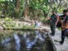 Dampingi Warga Binaan Babinsa Koramil 02 Sukakarya Budidayakan Ikan Nila di Jurong Perikanan