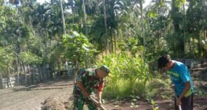 Babinsa Koramil 01/Sukajaya Dampingi Santri Bercocok Tanam Di Dayah Desa Binaan