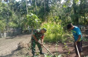 Babinsa Koramil 01/Sukajaya Dampingi Santri Bercocok Tanam Di Dayah Desa Binaan