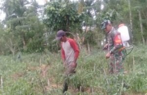 Babinsa Koramil 02/Sukakarya Lakukan Pendampingan Penyemprotan Pupuk Cabe Guna Tingkatkan Ketahanan Pangan