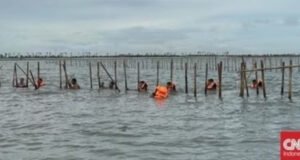 Akhirnya Menteri ATR Nusron Cabut SHGB Pagar Laut Tangerang