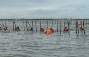 Akhirnya Menteri ATR Nusron Cabut SHGB Pagar Laut Tangerang