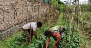 Babinsa Koramil 02/Sukakarya Bersama Warga Binaan Bersihkan Lahan dan Tanam Kacang Panjang Untuk Tingkatkan Ketahanan Panga