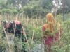 Upaya Berikan Semangat dan Motivasi, Babinsa Koramil 02/Sukakarya Dampingi Petani Cabe di Desa Binaan