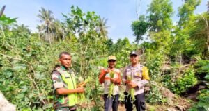 Babinsa Koramil 01/Sukajaya dan Bhabinkamtibmas Bantu Petani Panen Kacang Panjang di Desa Binaan