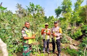 Babinsa Koramil 01/Sukajaya dan Bhabinkamtibmas Bantu Petani Panen Kacang Panjang di Desa Binaan
