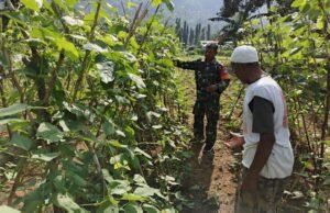 Babinsa Koramil 02/Sukakarya Dampingi Petani Sayuran di Gampong Paya Seunara