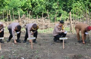 Kapolres Sabang Launching Penanaman Jagung di Lahan Produktif, Dukung Program Asta Cita Presiden RI Prabowo Subianto