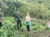 Babinsa Koramil 02/Sukakarya Dampingi Petani Kembangkan Tanaman Nilam