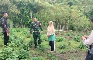 Babinsa Koramil 02/Sukakarya Dampingi Petani Kembangkan Tanaman Nilam