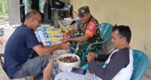 Babinsa Koramil 02/Sukakarya Bantu Warga Binaan Mengupas Buah Pinang