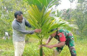 Babinsa Koramil 02/Sukakarya Bantu Warga Binaan Merawat Tanaman Pinang di Gampong Batee Shoek
