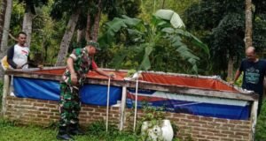 Babinsa Koramil 02/Sukakarya Sambangi Peternak Ikan Lele dan Nila untuk Dukung Ketahanan Pangan