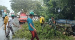 Babinsa Koramil 02/Sukakarya Bantu Bersihkan Pohon Tumbang di Jalan