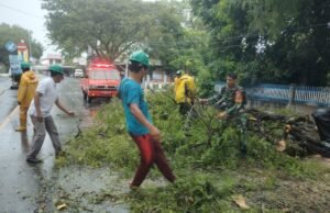 Babinsa Koramil 02/Sukakarya Bantu Bersihkan Pohon Tumbang di Jalan