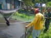 Babinsa Koramil 02/Sukakarya Dampingi Warga dalam Budidaya Ikan Lele