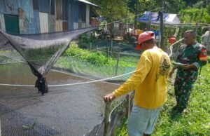 Babinsa Koramil 02/Sukakarya Dampingi Warga dalam Budidaya Ikan Lele