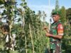Babinsa Koramil 01/Sukajaya Bantu Warga Panen Kacang Panjang dan Ajak Manfaatkan Lahan Kosong