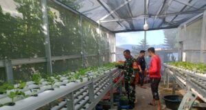 Babinsa Koramil 02 Sukakarya Dampingi Warga Binaan dalam Budidaya Sayuran Hidroponik