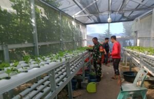 Babinsa Koramil 02 Sukakarya Dampingi Warga Binaan dalam Budidaya Sayuran Hidroponik