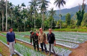 Babinsa Koramil 02/Sukakarya Dampingi Warga Merawat Tanaman Bawang Merah di Gampong Batee Shoek