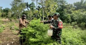 Babinsa 04 Koramil 02/Sukakarya Dampingi Petani dalam Penyemaian Bibit Cabai