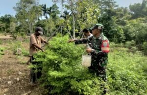 Babinsa 04 Koramil 02/Sukakarya Dampingi Petani dalam Penyemaian Bibit Cabai