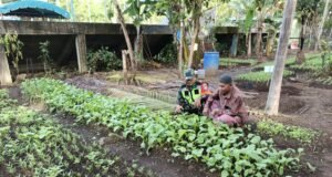 Babinsa Koramil 02/Sukakarya Dampingi Petani Sayuran di Gampong Paya Seunara