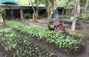 Babinsa Koramil 02/Sukakarya Dampingi Petani Sayuran di Gampong Paya Seunara
