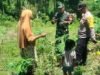 Babinsa Koramil 02/Sukakarya dan Bhabinkamtibmas Dampingi Petani Tanaman Muda di Gampong Krueng Raya