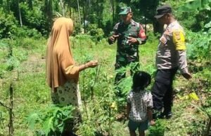 Babinsa Koramil 02/Sukakarya dan Bhabinkamtibmas Dampingi Petani Tanaman Muda di Gampong Krueng Raya