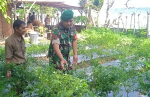 Babinsa Koramil 01 Sukajaya Ajak Warga Manfaatkan Lahan Kosong untuk Ketahanan Pangan