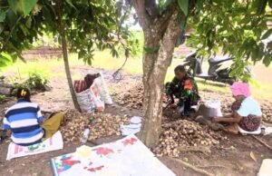 Wujud Kedekatan, Babinsa Koramil 01/Sukajaya Bantu Warganya Kupas Buah Pinang