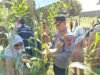 Kapolres Sabang:Panen Perdana Jagung dalam Rangka Ketahanan Pangan