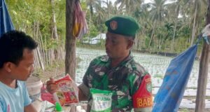 Babinsa Koramil 01/Sukajaya Kodim 0112/Sabang Bertandang ke Kebun Petani Cabai Desa Binaan