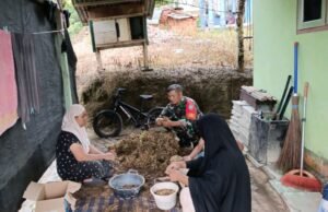 Babinsa Koramil 02/Sukakarya Bantu Warga Panen Kacang Tanah di Gampong Paya Seunara