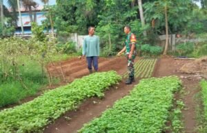 Babinsa Koramil 02/Sukakarya Laksanakan Komsos dengan Petani Sayur di Gampong Aneuk Laot