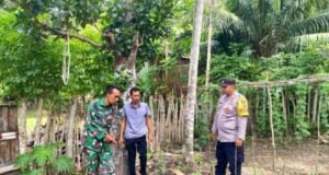 Babinsa Gampong Beurawang Lakukan Pendampingan Ketahanan Pangan di Jurong Meureloe