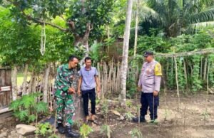 Babinsa Gampong Beurawang Lakukan Pendampingan Ketahanan Pangan di Jurong Meureloe