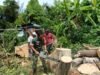 Babinsa Gampong Kuta Barat Bantu Warga Bersihkan Pohon Tumbang di Lingkungan Pemukiman Warga