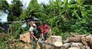 Babinsa Gampong Kuta Barat Bantu Warga Bersihkan Pohon Tumbang di Lingkungan Pemukiman Warga