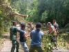 Pohon Tumbang Tutupi Jalan di Gampong Aneuk Laot, Babinsa Koramil 02/Sukakarya Bantu Proses Evakuasi