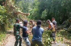 Pohon Tumbang Tutupi Jalan di Gampong Aneuk Laot, Babinsa Koramil 02/Sukakarya Bantu Proses Evakuasi